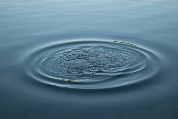 イドロ湖に水滴 — ストック写真
