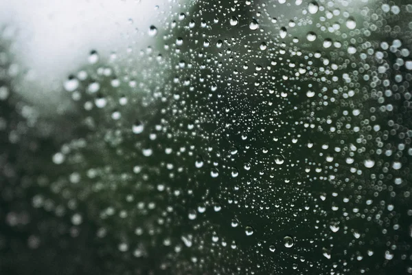 Капли Дождя Стекло Моей Машины — стоковое фото