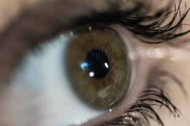 Göz ve göz bebeği beni izliyor.