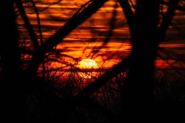スカイラインの夕景 — ストック写真