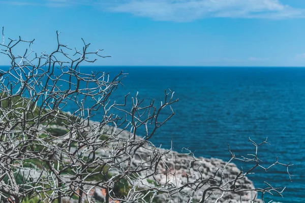 Fantastische Aussicht Auf Den Salento Und Apulien — Stockfoto