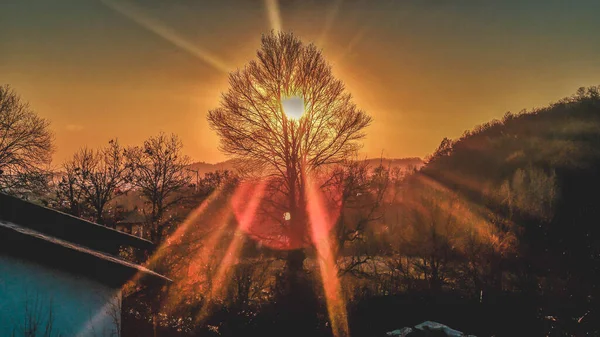 Sonnenstrahlen Durch Einen Baum — Stockfoto