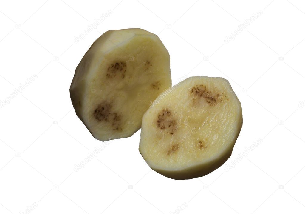 Potato diseases: Potatos infected with zebra chip. Dark lines that resemble the stripes of a zebra inside potato club.