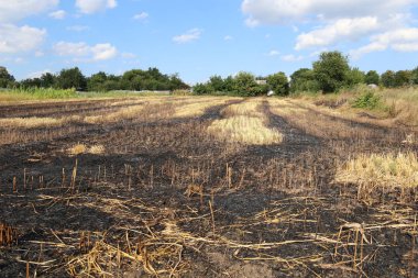 Hasattan sonra kül tarlaları yaktı. Yanlış tarım uygulamaları kirliliğe ve küresel ısınmaya neden olur.
