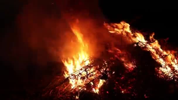 たき火は黒い空を背景に燃える 乾燥した草の火傷 — ストック動画
