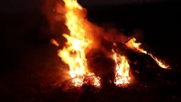 Das Lagerfeuer Brennt Vor Dem Hintergrund Des Schwarzen Himmels Menschen — Stockvideo