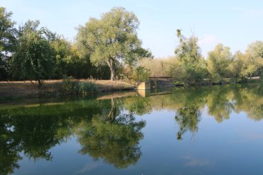 Kıyı Gölü. Ağaçlar ve sazlıklar suya yansır..