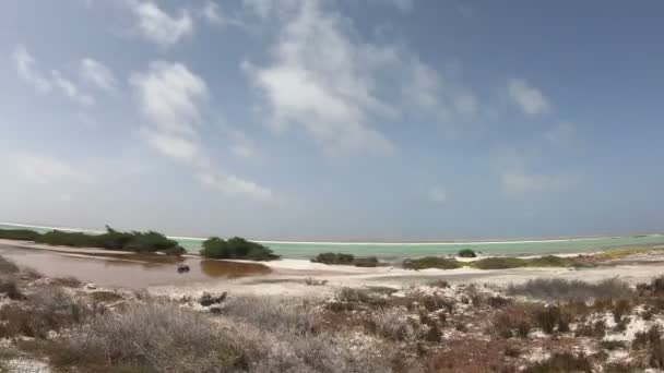 Salt Gruvdrift Bonaire Nederländska Antillerna — Stockvideo