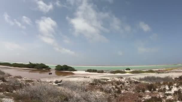 Zout Mijnbouw Bonaire Nederlandse Antillen — Stockvideo