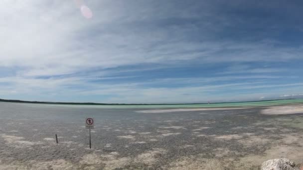 Ninguna Entrada Preservación Marina Bonaire — Vídeo de stock