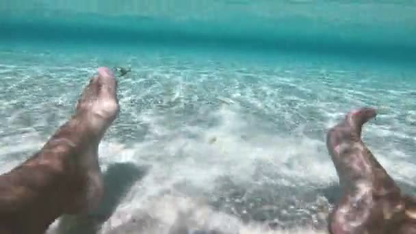 Feet Underwater Windsurfer Bonaire — Stock Video