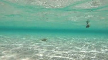 Kadın bacakları sualtı yürüyüş ve adet Rüzgar Sörfü