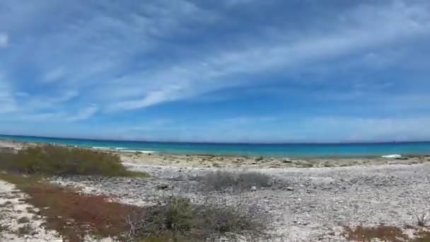 Водіння Вздовж Узбережжя Бонайре Голландська Антильські Острови — стокове відео