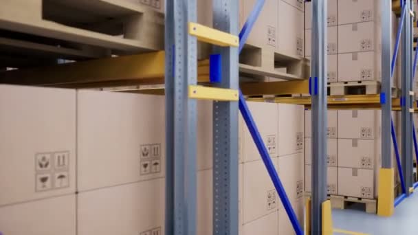 Primer Plano Grandes Estantes Estantes Metálicos Paletas Con Cajas Cartón — Vídeo de stock