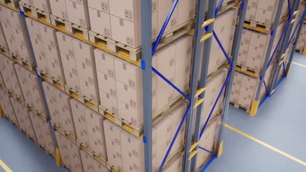 在现代仓库中 可以看到大型金属货架和托盘上的顶部景色 并配有纸板箱 可循环60帧 秒动画 — 图库视频影像