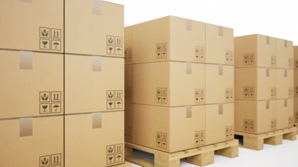 Massive Pallets Cardboard Boxes Goods White Background Fps Loopable Animation — Stock Video