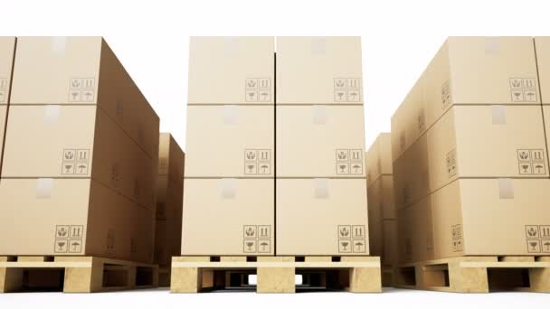 Pallets Cardboard Boxes Goods White Background Staked Row Fps Loopable — Stock Video