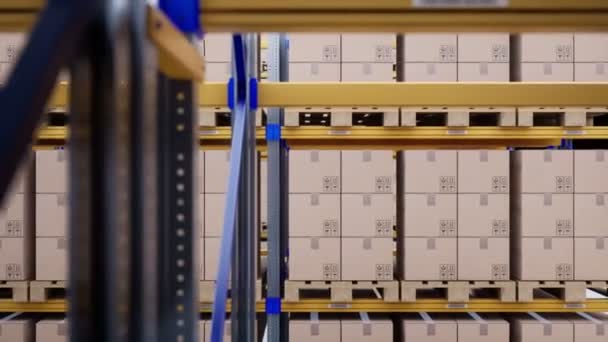 Σύγχρονη Αποθήκη Παλέτες Φορτίου Και Καφέ Κουτιά Μεταλλικά Ράφια Στο — Αρχείο Βίντεο
