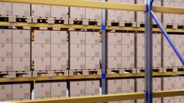 Modern Depo Stok Metal Raflarda Paletler Üzerinde Kahverengi Karton Kutular — Stok video