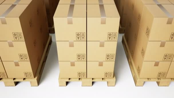 Παλέτες Και Καφέ Κουτιά Από Χαρτόνι Προϊόντα Τακτοποιημένα Στη Σειρά — Αρχείο Βίντεο