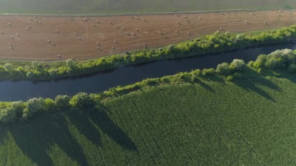 Fiume che scorre nel campo, vista aerea — Video Stock