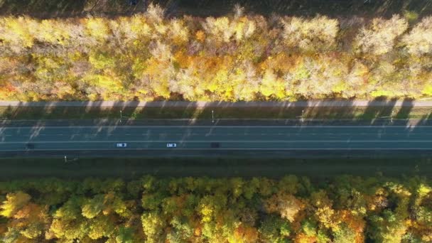 가을 교통, 러시아, 항공 사진 — 비디오