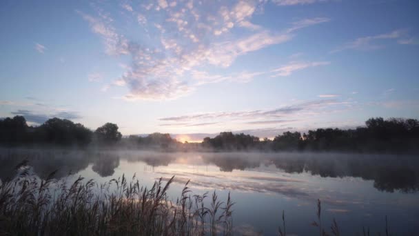 Рыбалка на природе рано утром — стоковое видео