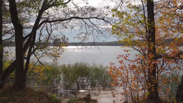 Podzimní krajina u jezera — Stock video