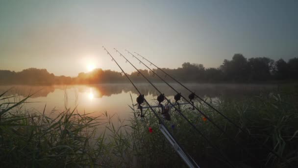 Nature fishing in the early morning — Stock Footage Nature fishing in the early morning Royalty Free Stock Video