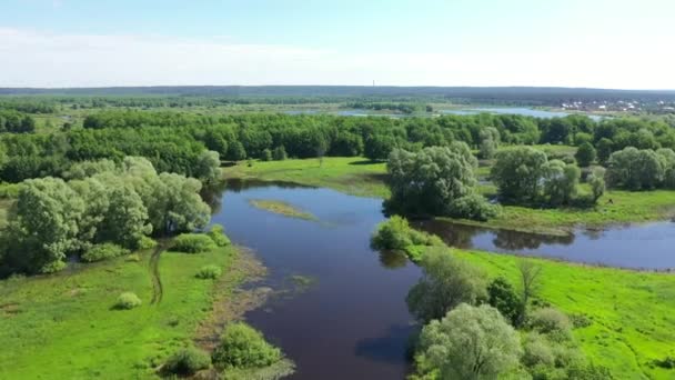 Islands on the Volga, aerial view — Stock Video