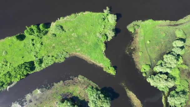Islas en el Volga, vista aérea — Vídeo de stock