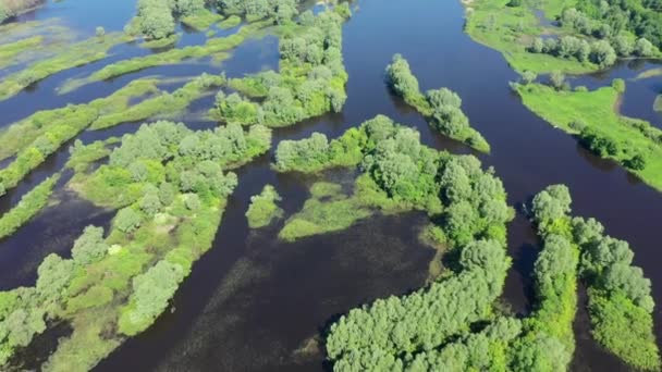 Eilanden op de Wolga, vanuit de lucht bekeken — Stockvideo