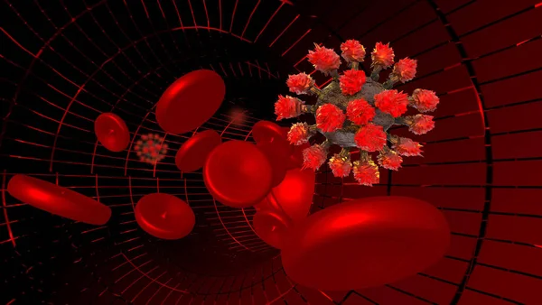 Platelets Arteries Blood Vein Red Plasma — Stock Photo, Image
