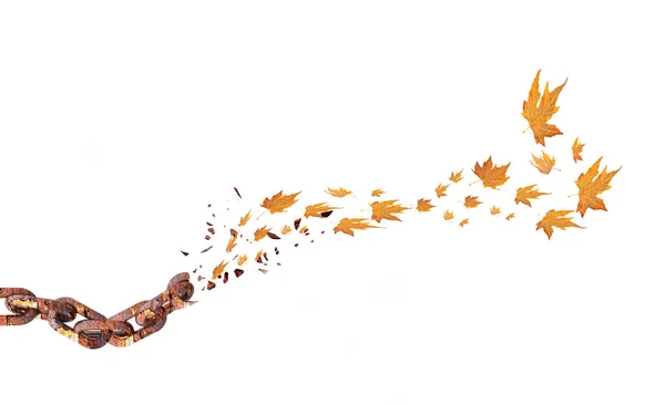 Φύλλα Φθινοπώρου Που Πετούν Στον Άνεμο Και Την Αλυσίδα Απομονωμένα — Φωτογραφία Αρχείου