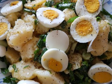 Yumurta, patates, soğan, tuz ve Yunan salatası.
