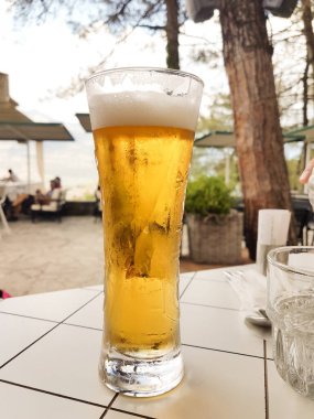 Bira, çam ağaçlarının altındaki ormanda soğuk su içer.