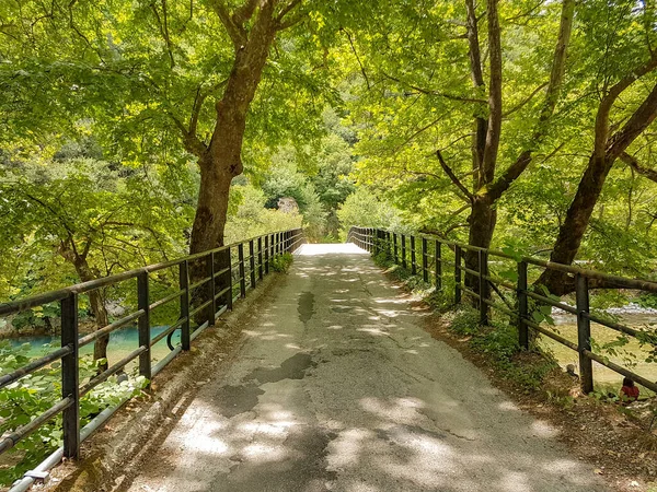 Green Tunnel Trees Aristi Village River Voidomatis Greece Summer Season — Stock Photo, Image