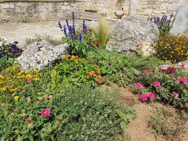 Doğal ortamda olduğu gibi taşlı bir ev için tasarlanmış kır çiçekleri bahçesi.