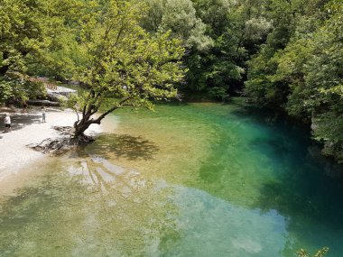 Yaz aylarında Voidomatis nehri insanları yeşil ağaçların altındaki Nick 'i toplamak için Yunanistan' ı mükemmelleştiriyor