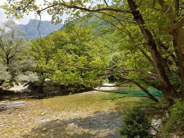 Flod Voidomatis Sommar Människor För Att Plocka Nick Gröna Träden — Stockfoto