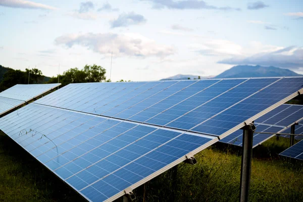 solar panels park in the morning before sunrise