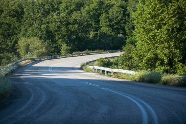 İlkbaharda Vrosina Köyü 'nde yol ormanı döner. Ioannina, Yunanistan mükemmelliği.