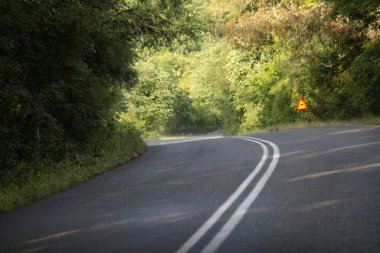 İlkbaharda Vrosina Köyü 'nde yol ormanı döner. Ioannina, Yunanistan mükemmelliği.