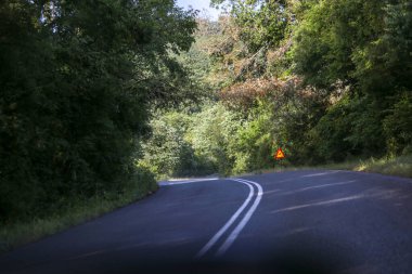 İlkbaharda Vrosina Köyü 'nde yol ormanı döner. Ioannina, Yunanistan mükemmelliği.