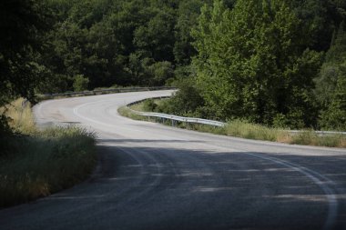 İlkbaharda Vrosina Köyü 'nde yol ormanı döner. Ioannina, Yunanistan mükemmelliği.