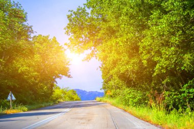 İlkbaharda Vrosina Köyü 'nde yol ormanı döner. Ioannina, Yunanistan mükemmelliği.