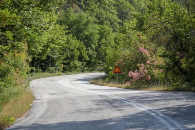 İlkbaharda Vrosina Köyü 'nde yol ormanı döner. Ioannina, Yunanistan mükemmelliği.