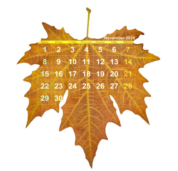 November 2020 Kalender Auf Herbstblatt Isoliert Für Hintergrund — Stockfoto