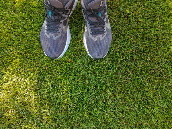 Schoenen Groene Gras Outdoor Zomer Achtergrond — Stockfoto