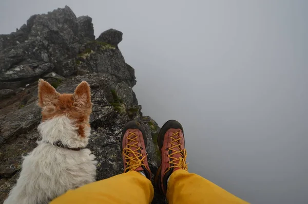 Hiking is better with a dog